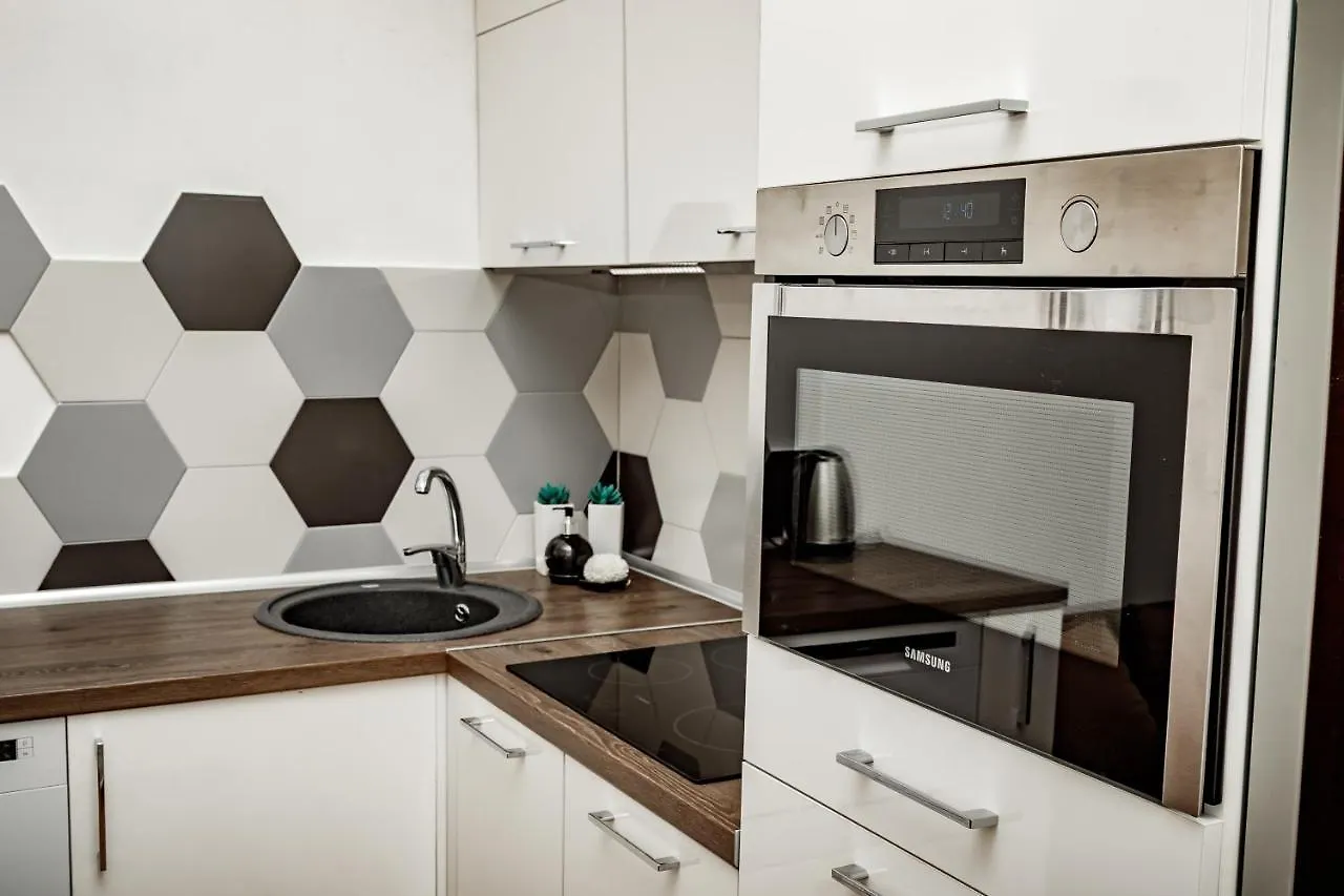 Loft apartment Lviv 0*,