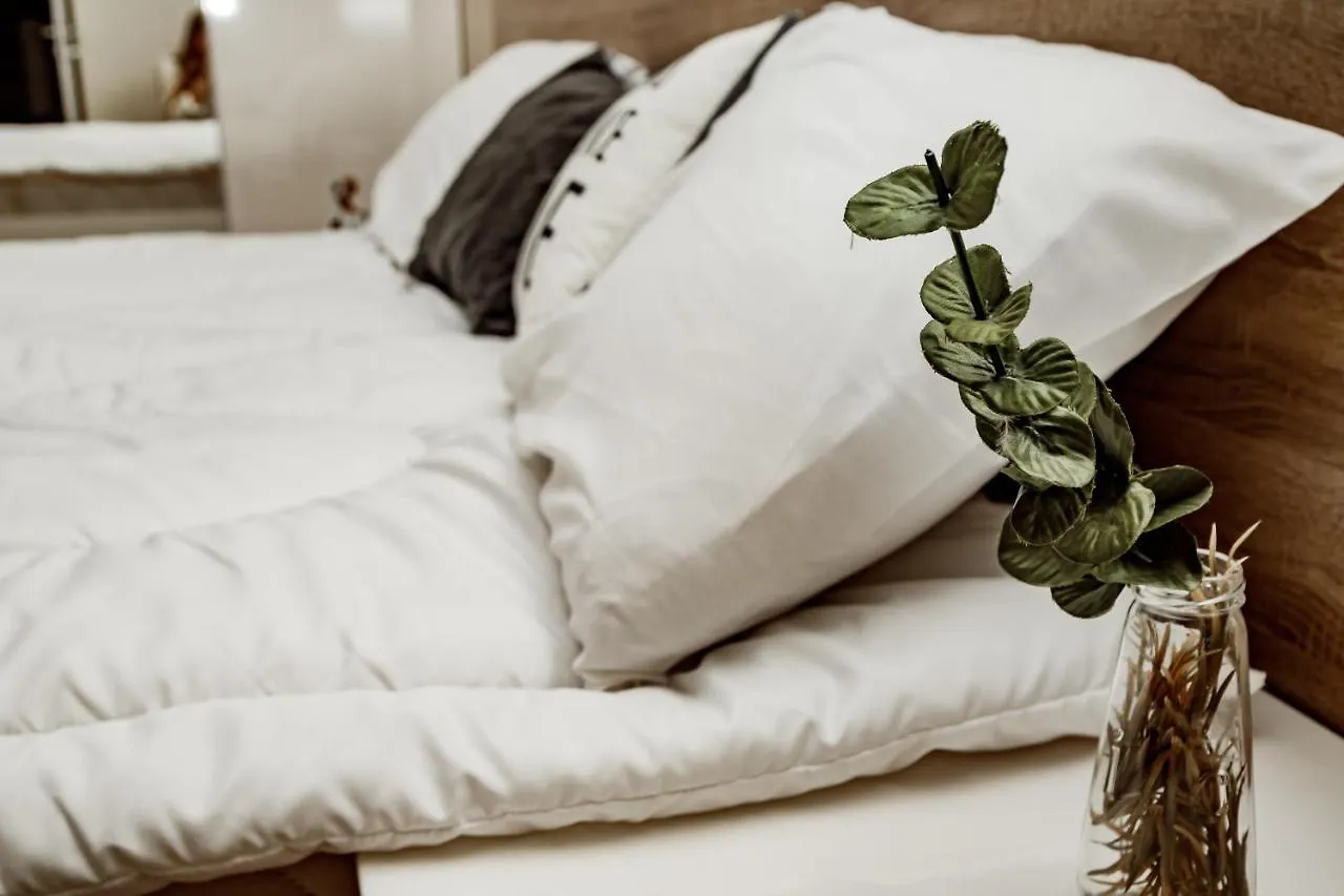 Loft apartment Lviv